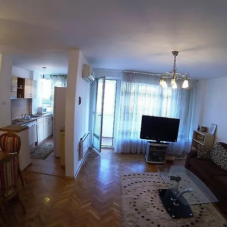 Gospodin Apartment *